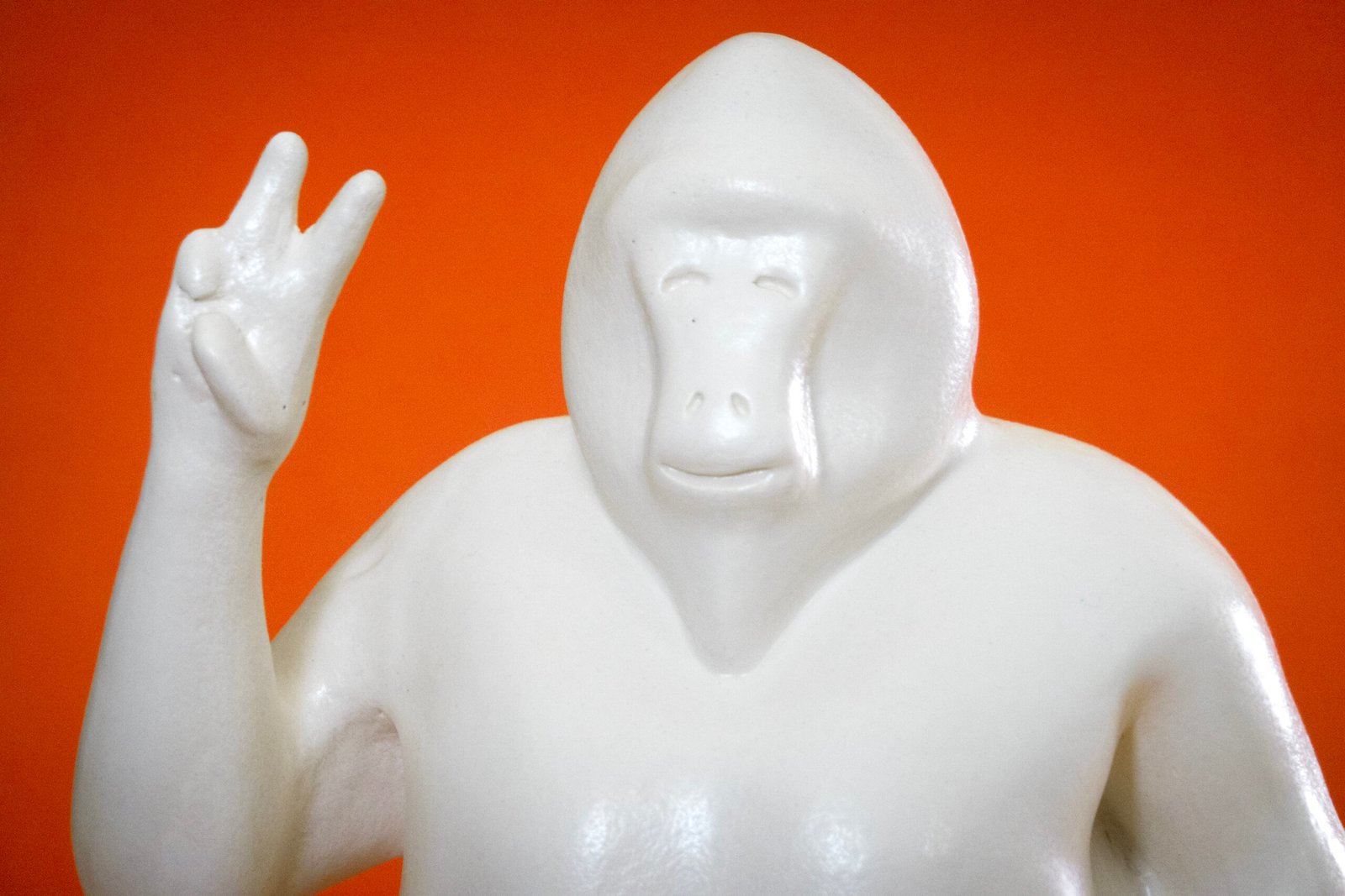 BROTHER GORILLA TIENDA 2_2