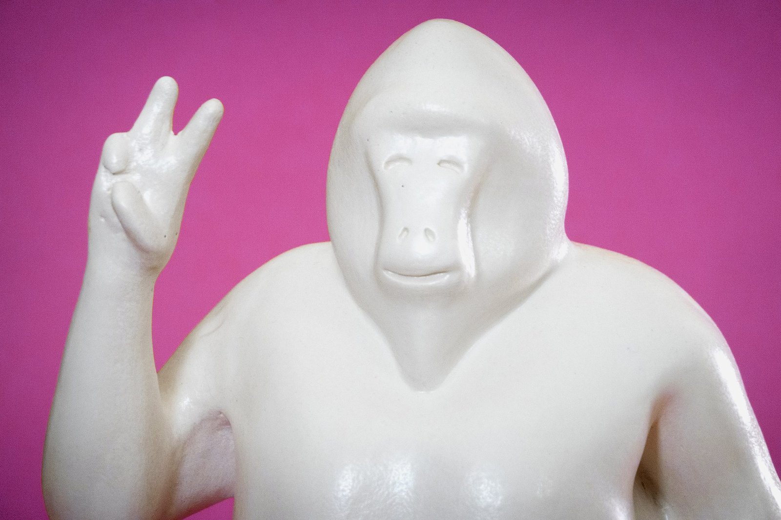 BROTHER GORILLA TIENDA 2_2_rosa